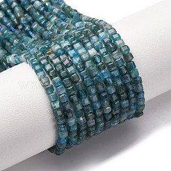 Natural Apatite Beads Strands&nbsp;G-C196-B01-2x2mm