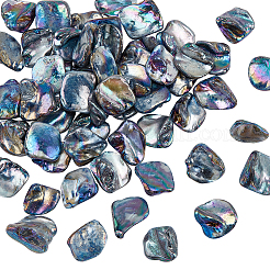 5 Strands Freshwater Shell Beads Strands&nbsp;SHEL-NB0001-58