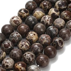 Natural Astroite Jasper Beads Strands&nbsp;G-H329-C02-10mm