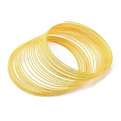 Iron Jewelry Wire&nbsp;IFIN-E025-03C-G