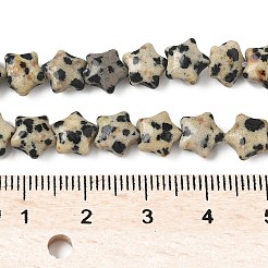 Natural Dalmatian Jasper Star Beads Strands&nbsp;G-Z080-A08