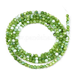 Dyed Natural Trochid Shell/Trochus Shell Beads Strands&nbsp;SSHEL-T017-13C