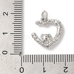 Rack Plating Brass Clear Cubic Zirconia Pendants&nbsp;KK-Z056-15P