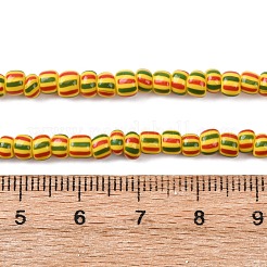 Handmade Lampwork Beads Strands&nbsp;BLOW-K001-01A-19