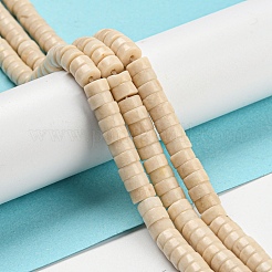Natural Fossil Beads Strands&nbsp;LS-G-Z006-C16