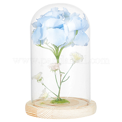 Glass Dome Cover&nbsp;DJEW-WH0043-46