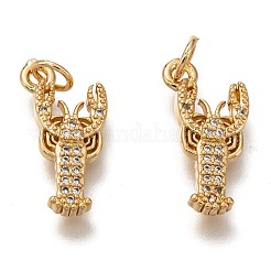 Brass Micro Pave Clear Cubic Zirconia Pendants&nbsp;ZIRC-B002-49
