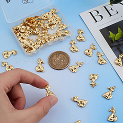 50Pcs Alloy Pendants&nbsp;FIND-BBC0001-37