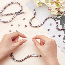 5 Strands Natural Freshwater Shell Beads Strands&nbsp;SHEL-CA0001-012