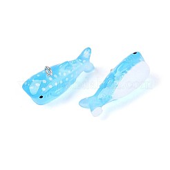 Transparent Resin Pendants&nbsp;RESI-T059-06