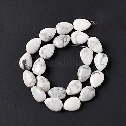 Natural Howlite Beads Strands&nbsp;G-L242-13
