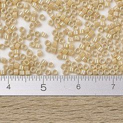 MIYUKI Delica Beads&nbsp;SEED-JP0008-DB1571