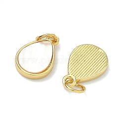 Natural White Shell Teadrop Charms&nbsp;KK-F926-07G