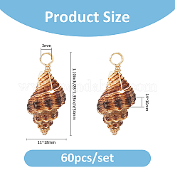 60Pcs Copper Wire Wrapped Natural Spiral Shell Pendants&nbsp;PALLOY-FH00101