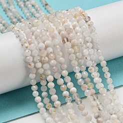 Natural Rainbow Moonstone Beads Strands&nbsp;X-G-A097-A02-03