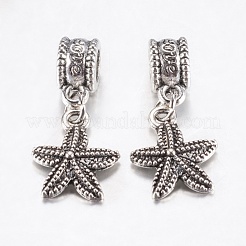 Tibetan Style Alloy European Dangle Charms&nbsp;PALLOY-F199-42AS
