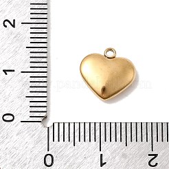 304 Stainless Steel Charms&nbsp;STAS-B113-04A-G