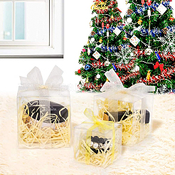 Transparent Plastic PET Box Gift Packaging&nbsp;CON-WH0052-8x8cm