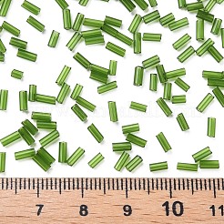 Transparent Glass Bugle Beads&nbsp;SEED-N005-001-C05