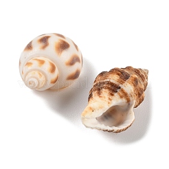 DIY Shell Pendant Making Kits&nbsp;DIY-FP0001-47