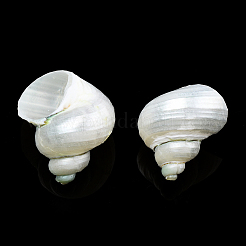 Natural Spiral Shell Beads&nbsp;X-SSHEL-N034-126