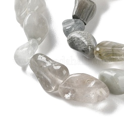 Natural Eagle Eye Stone Beads Strands&nbsp;G-P497-01C-14