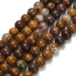 Natural Wealth Stone Beads Strands&nbsp;G-C289-B01-6mm