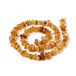 Natural Amber Chip Beads Strands&nbsp;X-G-E271-81