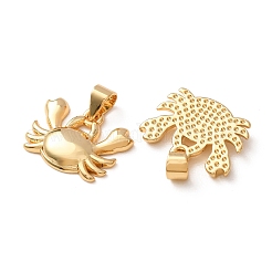 Brass Pendants&nbsp;KK-H297-07E-G