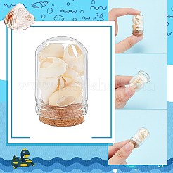 Arch Shape Glass Dome Bell Jar with Natural Mixed Cowrie Shell inside&nbsp;AJEW-AB00017