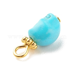 Dyed Synthetic Turquoise Charms&nbsp;PALLOY-JF01452-02
