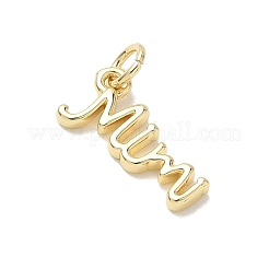 Brass Pendants&nbsp;KK-E796-04F-G