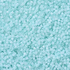 MIYUKI Delica Beads&nbsp;X-SEED-J020-DB1859