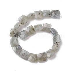 Natural Labradorite Beads Strands&nbsp;G-K359-B17-01
