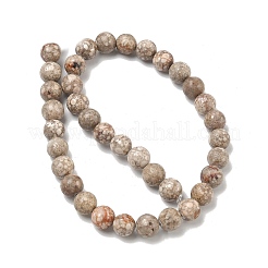 Natural Maifanite/Maifan Stone Beads Strands&nbsp;G-R345-10mm-40-1