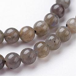 Natural Labradorite Bead Strands&nbsp;G-J352-01-10mm