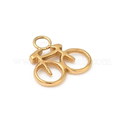 304 Stainless Steel Pendants&nbsp;STAS-L283-03G