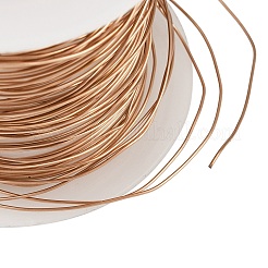 304 Stainless Steel Wire&nbsp;STAS-A115-01RG-0.5mm