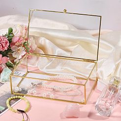 Transparent Glass Jewelry Organizer Display Cases with Metal Frame&nbsp;AJEW-WH0410-465A-1