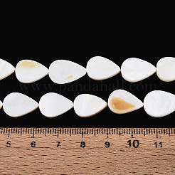 Natural Freshwater Shell Beads Strands&nbsp;SHEL-N038-07