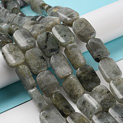Natural Labradorite Beads Strands&nbsp;G-M420-M02-02