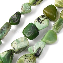 Natural Serpentine Beads Strands&nbsp;G-D098-C06