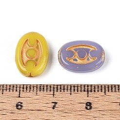 Mixed Styles Glass Beads&nbsp;GLAA-N066-05