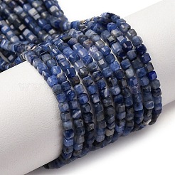 Natural Sodalite Beads Strands&nbsp;G-B142-C02-2x2mm