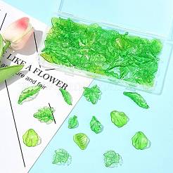 80Pcs 8 Styles Transparent Acrylic Pendants&nbsp;OACR-FS0002-34