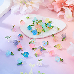 72Pcs 12 Colors Glass & Acylic Flower Pendants&nbsp;PALLOY-TAC0259