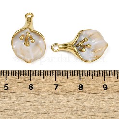 304 Stainless Steel Enamel Pendants&nbsp;STAS-L290-05G