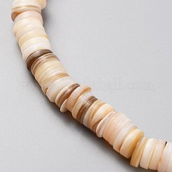 Natural Freshwater Shell Beads Strands&nbsp;SHEL-C001-05