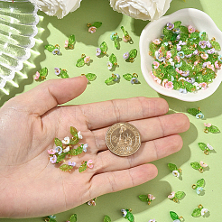 20 Sets Resin Imitation Pearl Charms&nbsp;FIND-SC0016-68