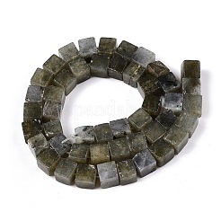 Natural Labradorite Beads Strands&nbsp;G-T139-8x8-19A
